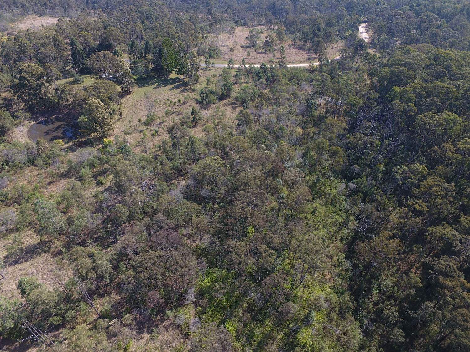 139 Leslie Creek Road, Drake For Sale by Farmbuy.com - image 16