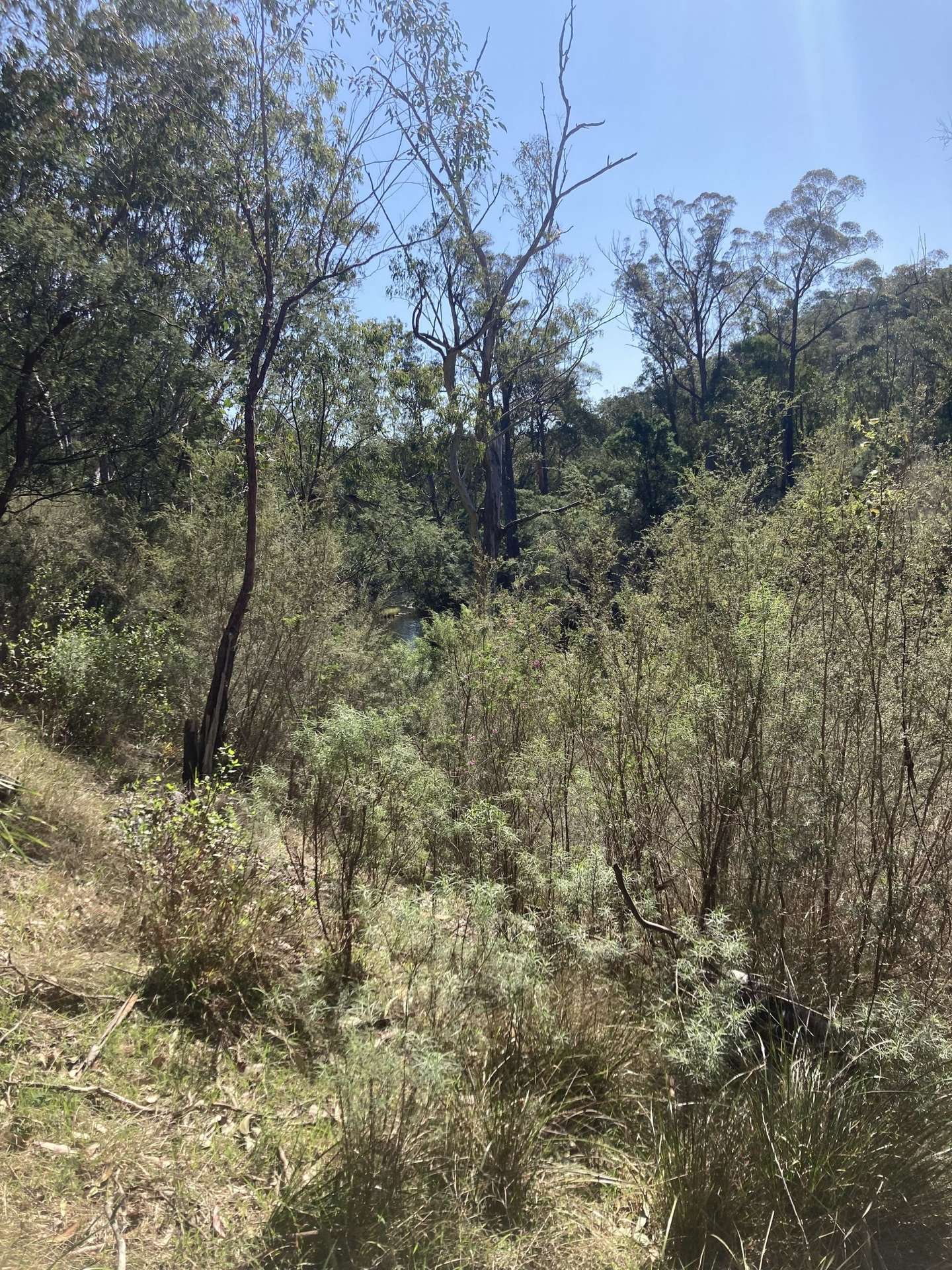 138 Elliot Road, Valencia Creek Sold by Farmbuy.com - image 20