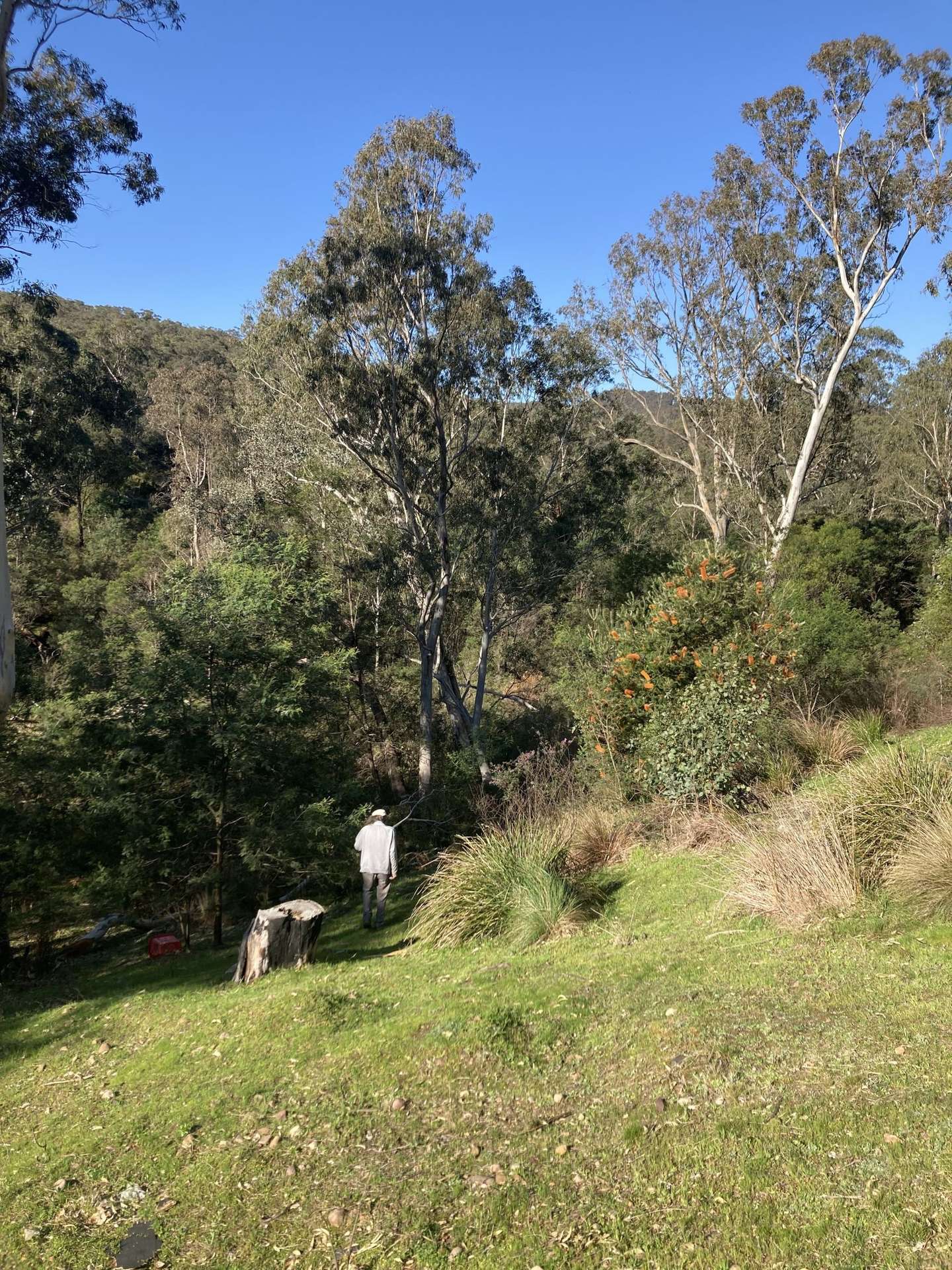 138 Elliot Road, Valencia Creek Sold by Farmbuy.com - image 18