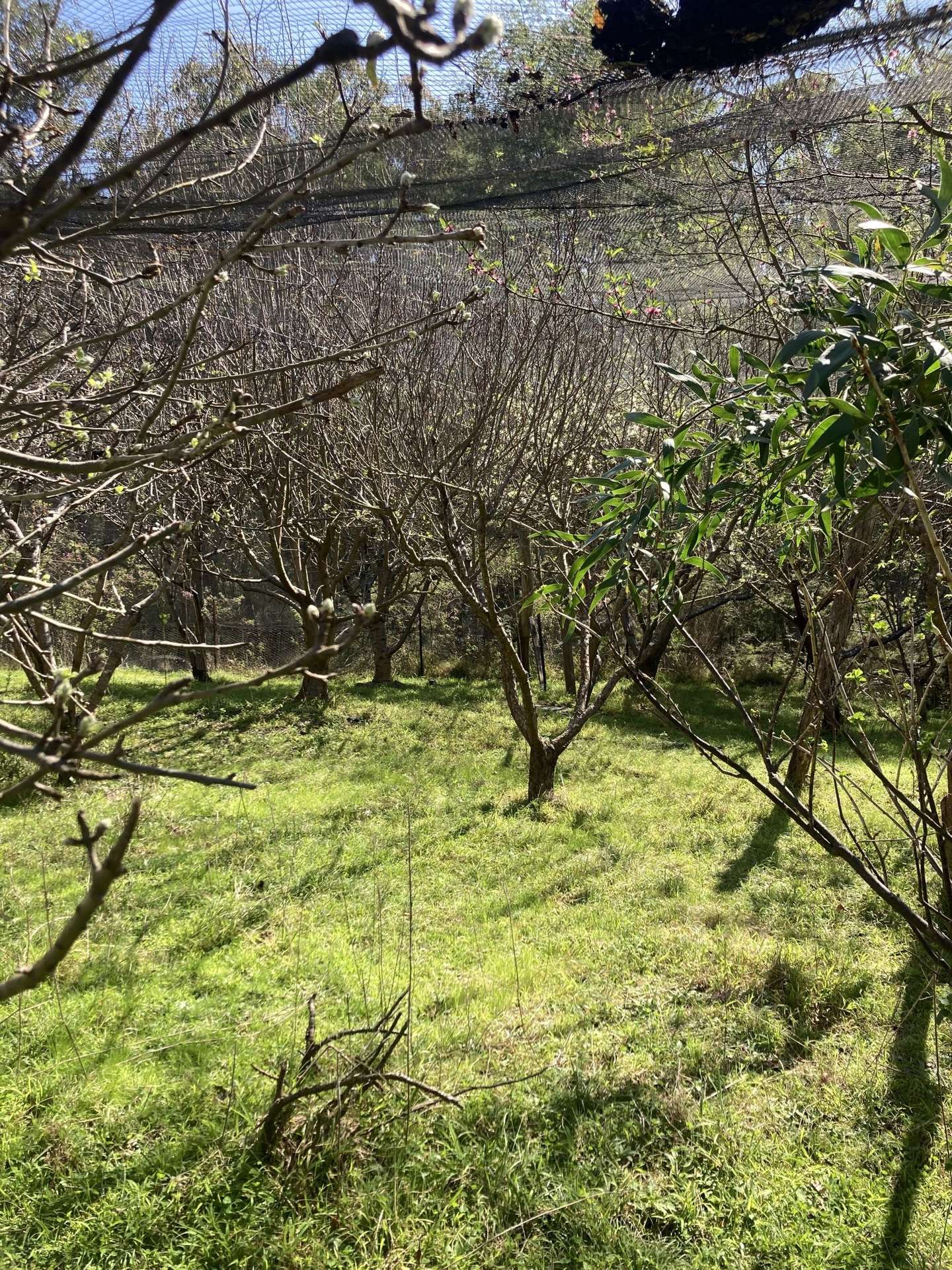 138 Elliot Road, Valencia Creek Sold by Farmbuy.com - image 27