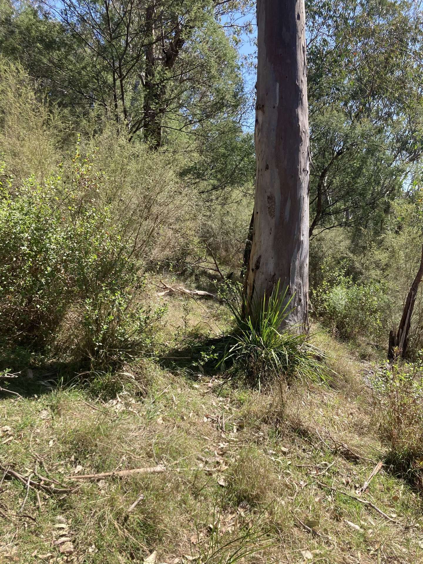 138 Elliot Road, Valencia Creek Sold by Farmbuy.com - image 21