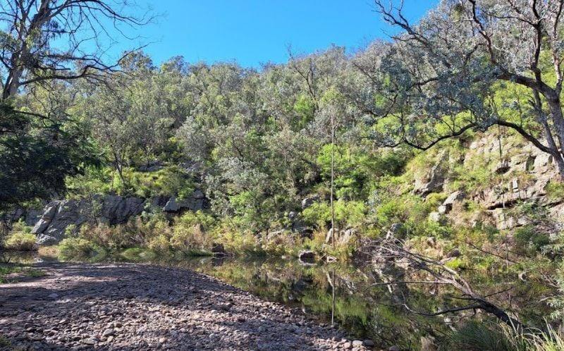 138 Elliot Road, Valencia Creek Sold by Farmbuy.com - image 29