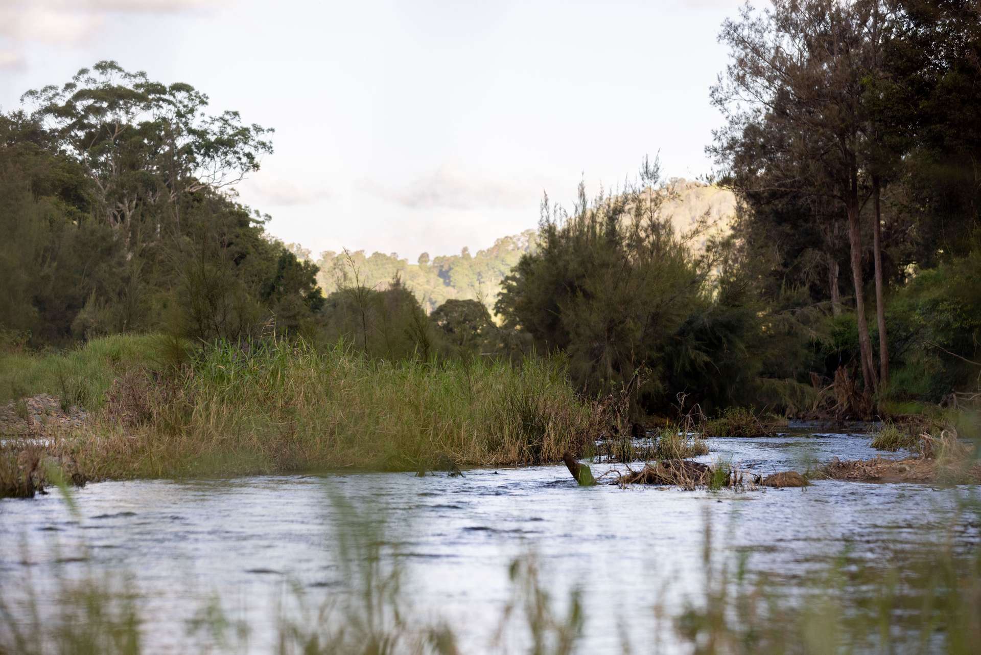 2138 Maleny Kenilworth Road, Conondale For Sale by Farmbuy.com - image 8