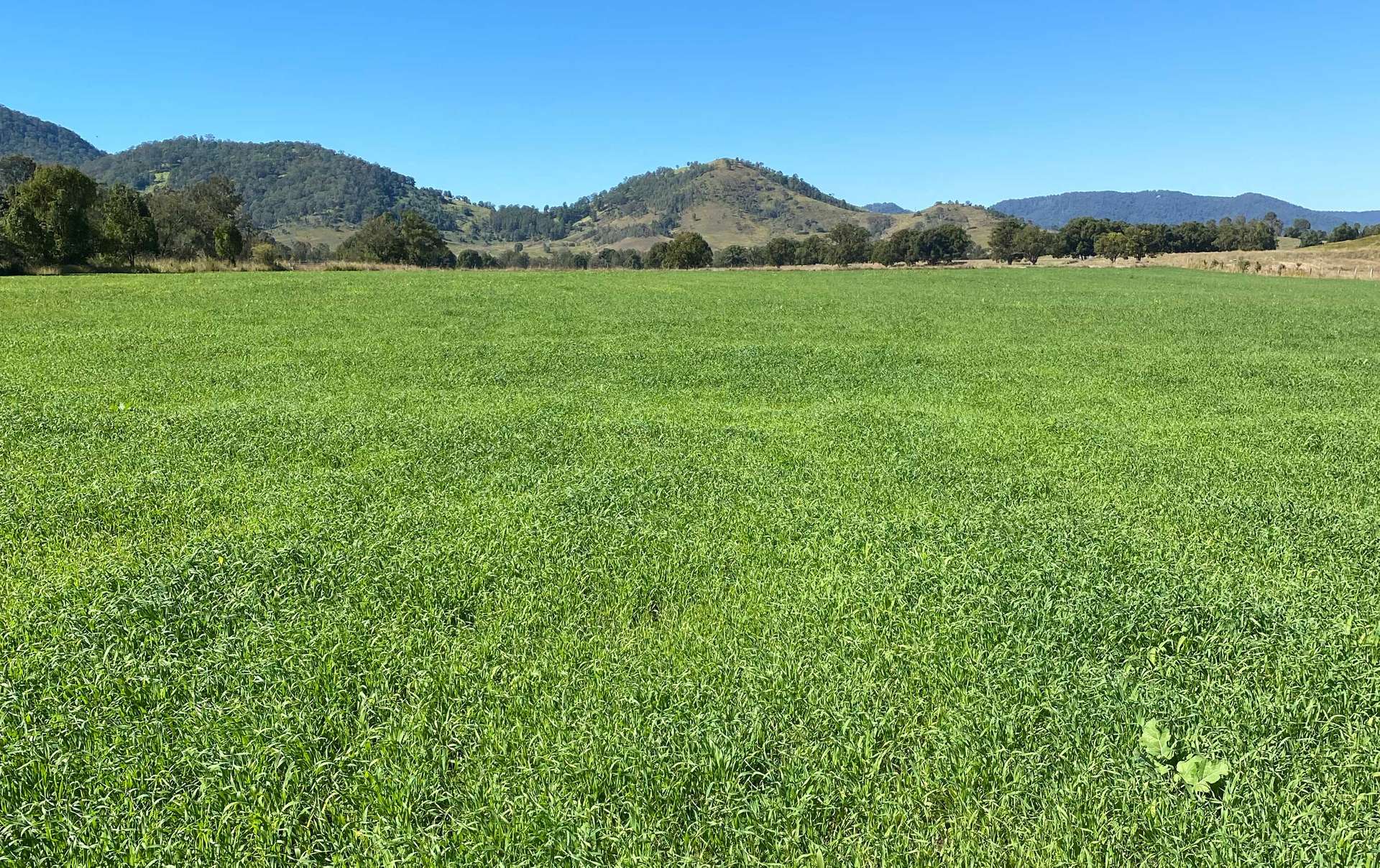 2138 Maleny Kenilworth Road, Conondale For Sale by Farmbuy.com - image 5