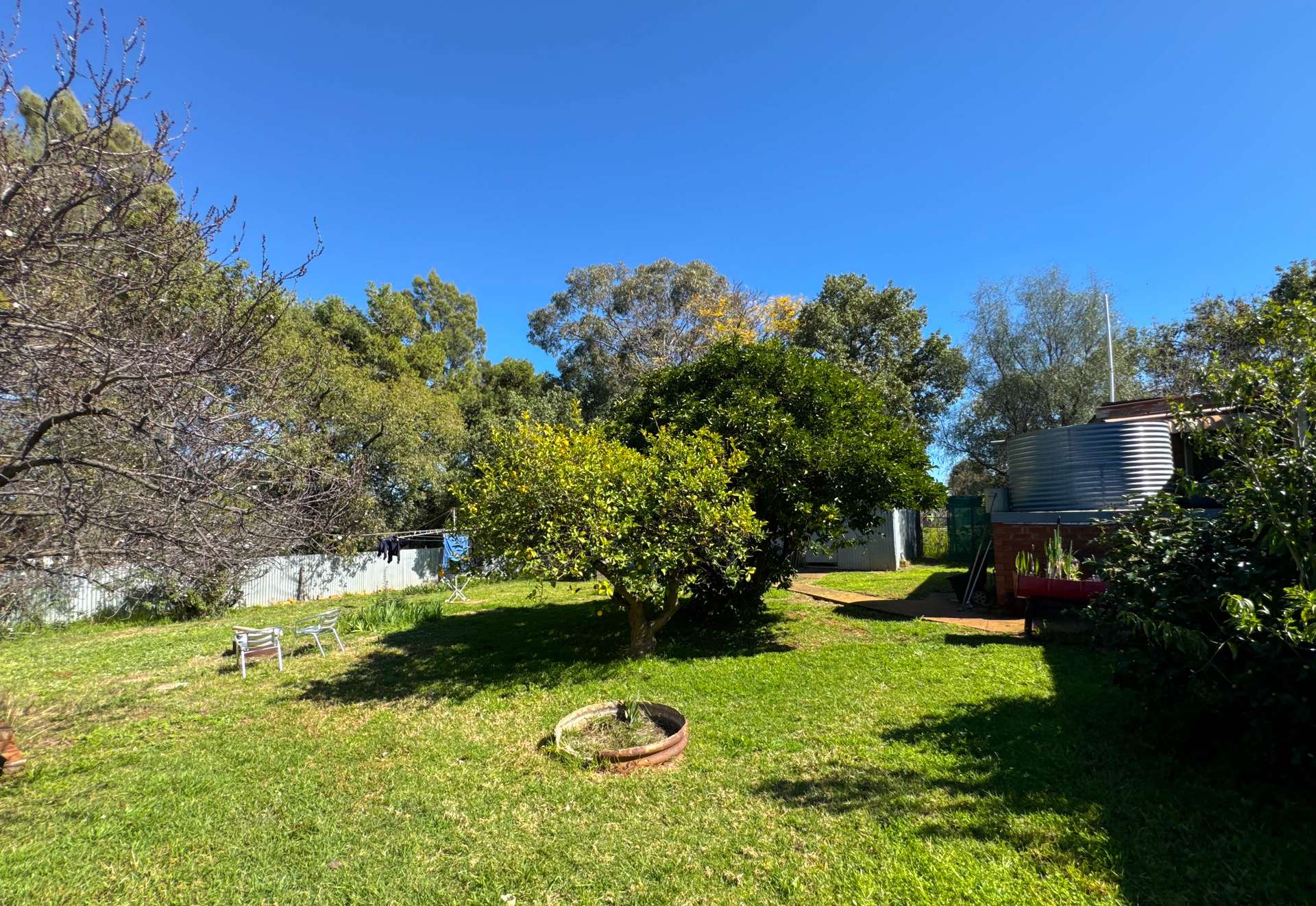 113-119 Mitchell Street, Parkes Auction by Farmbuy.com - image 15