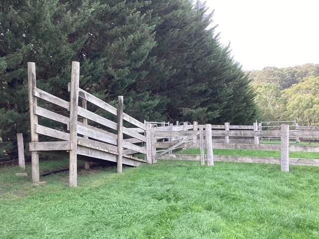 236 Morrisons Lane, Korobeit For Sale by Farmbuy.com - image 2