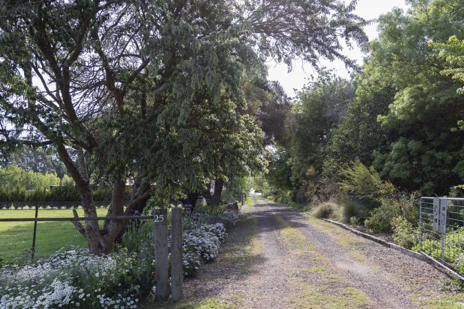 25 McMahons Road, Glenlyon For Sale by Farmbuy.com - image 20