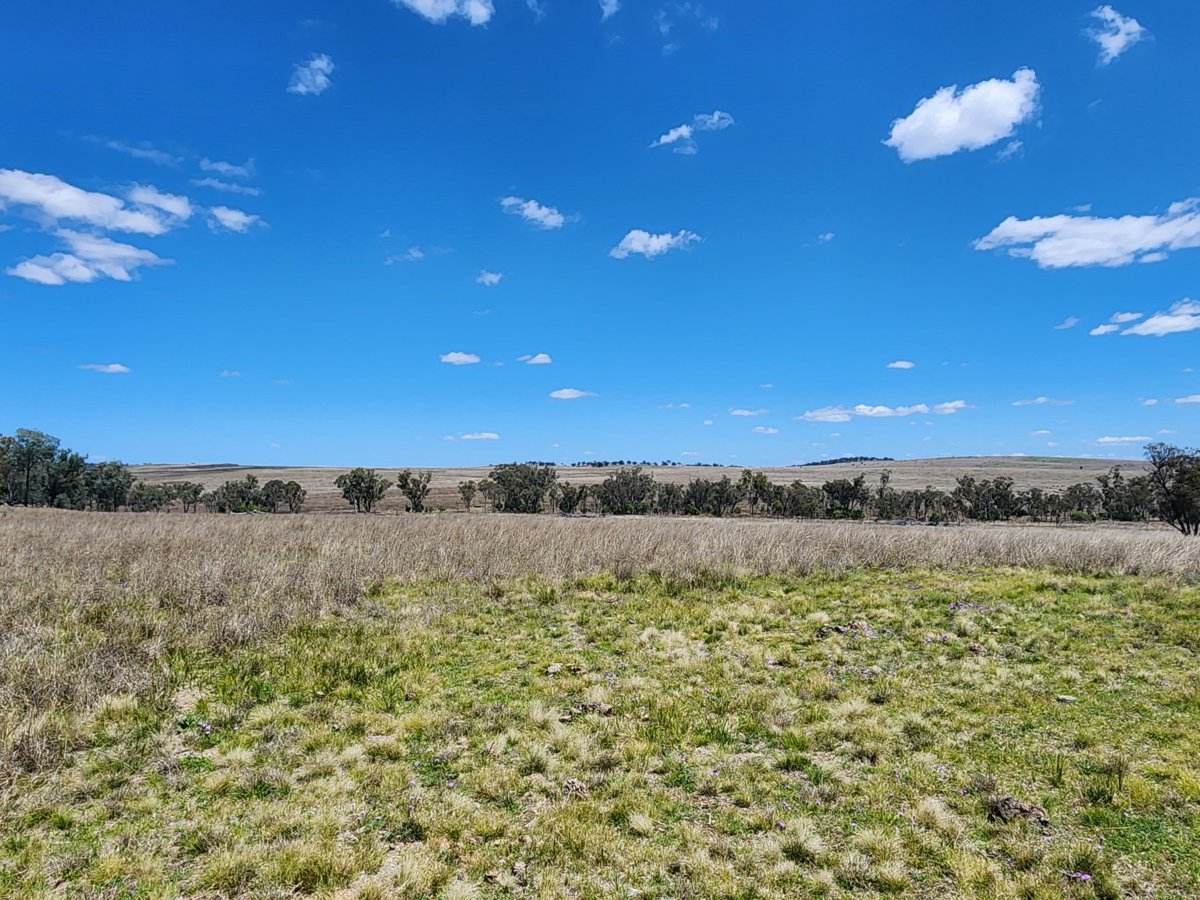 Lot 11 Pikedale Lane, Stanthorpe For Sale by Farmbuy.com - image 2
