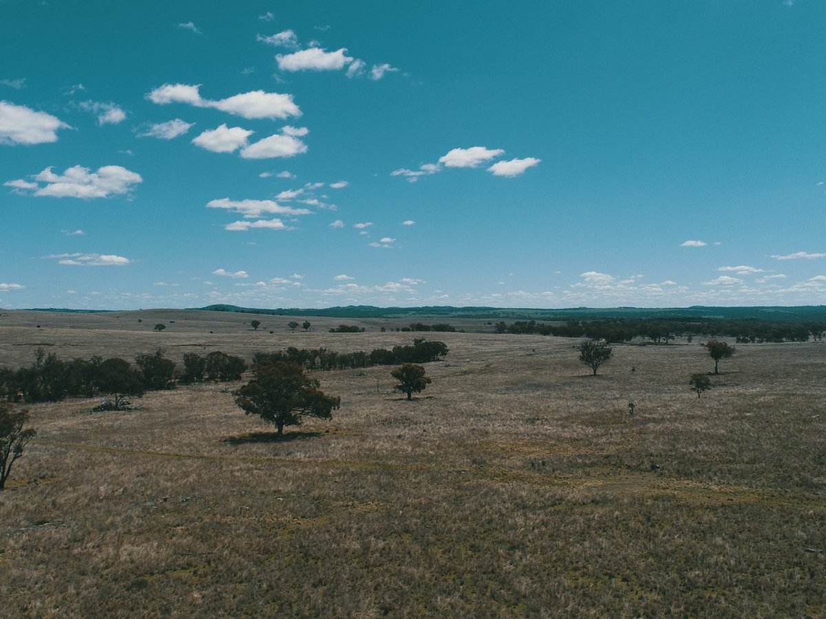 Lot 11 Pikedale Lane, Stanthorpe For Sale by Farmbuy.com - image 9