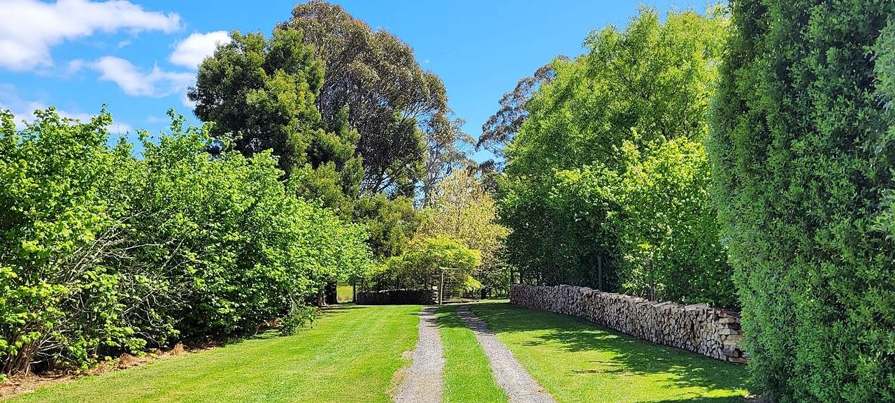 174 Fabers Road, Riana Sold by Farmbuy.com - image 30