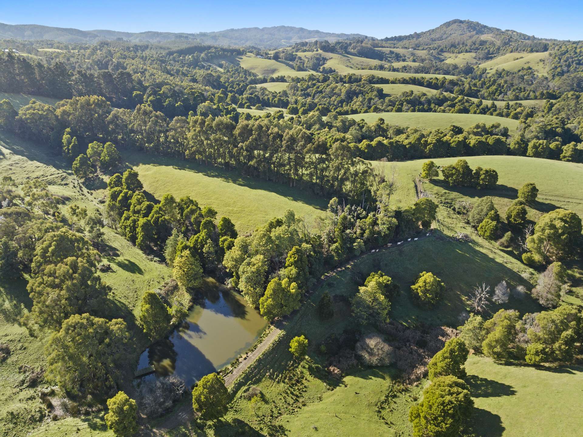 Woorarra West For Sale by Farmbuy.com - image 3