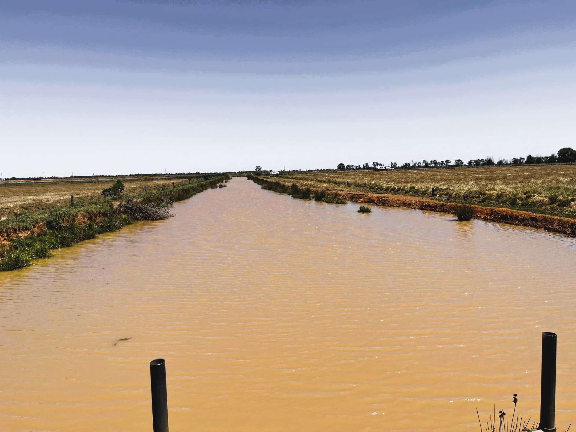 8499 Murray Valley Highway, Kerang East For Sale by Farmbuy.com - image 22