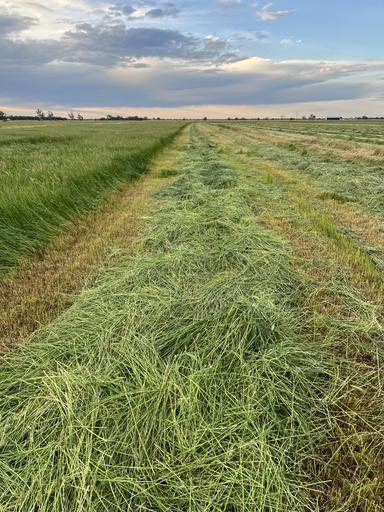 8499 Murray Valley Highway, Kerang East VIC 3579