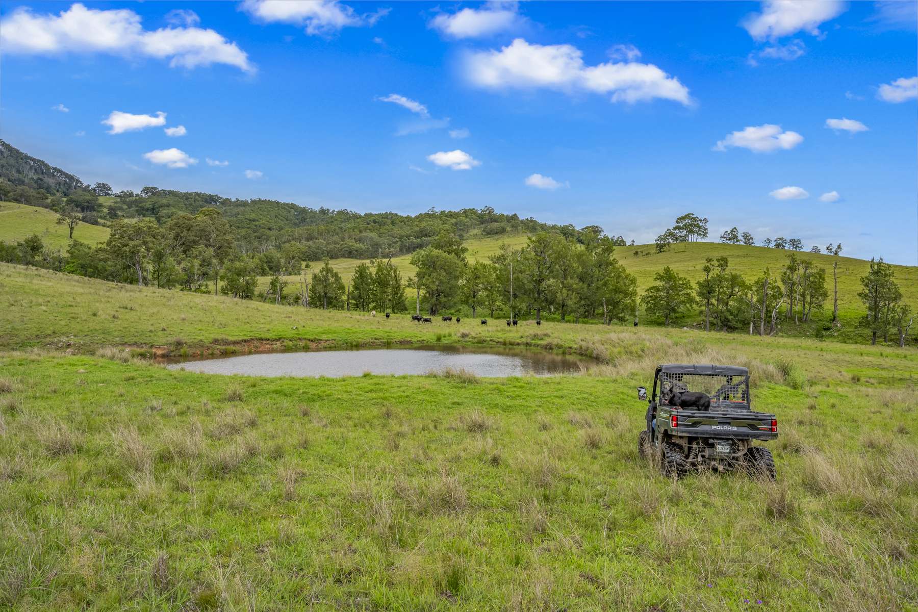 Carrowbrook Road Mount Olive, Singleton For Sale by Farmbuy.com - image 4