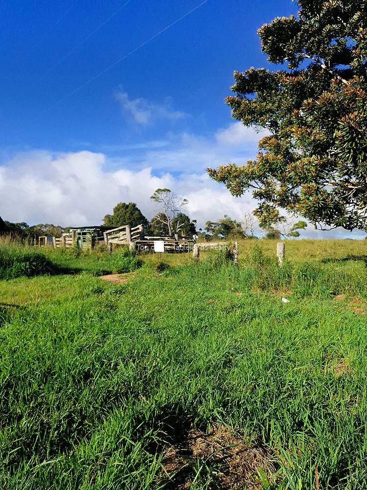 11551 Kennedy Hwy, Evelyn QLD 4888