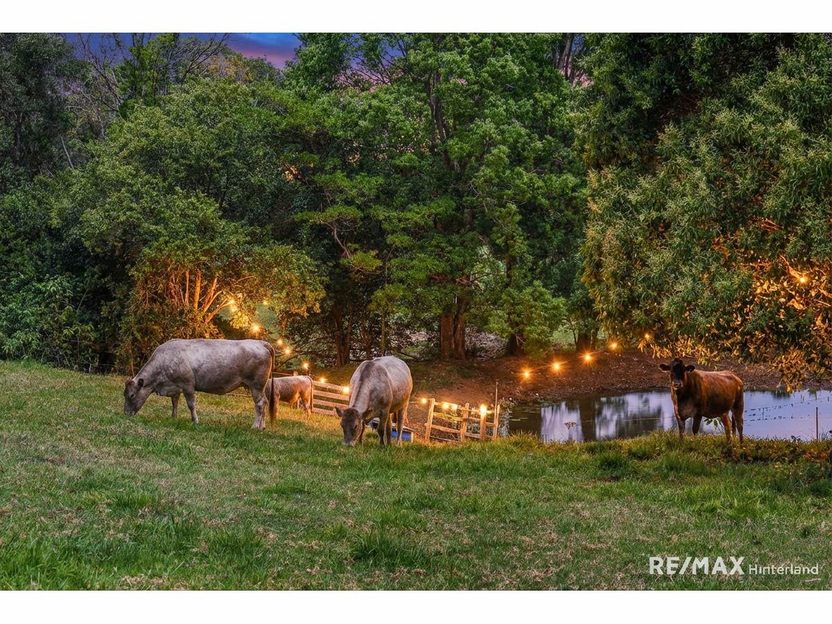 143 Reesville Road, Reesville For Sale by Farmbuy.com - image 12