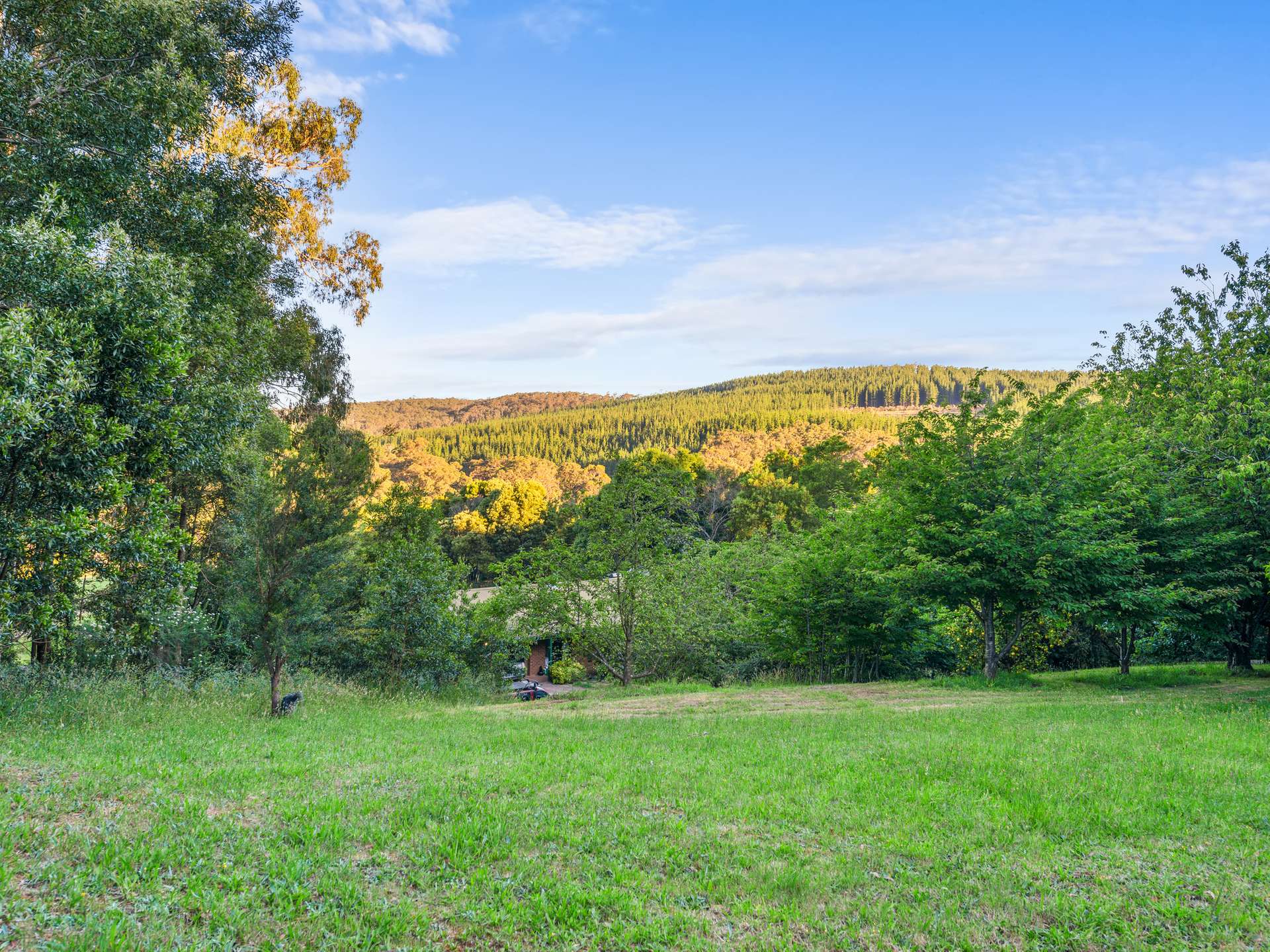 43 Johnsons Lane, Willung South For Sale by Farmbuy.com - image 27