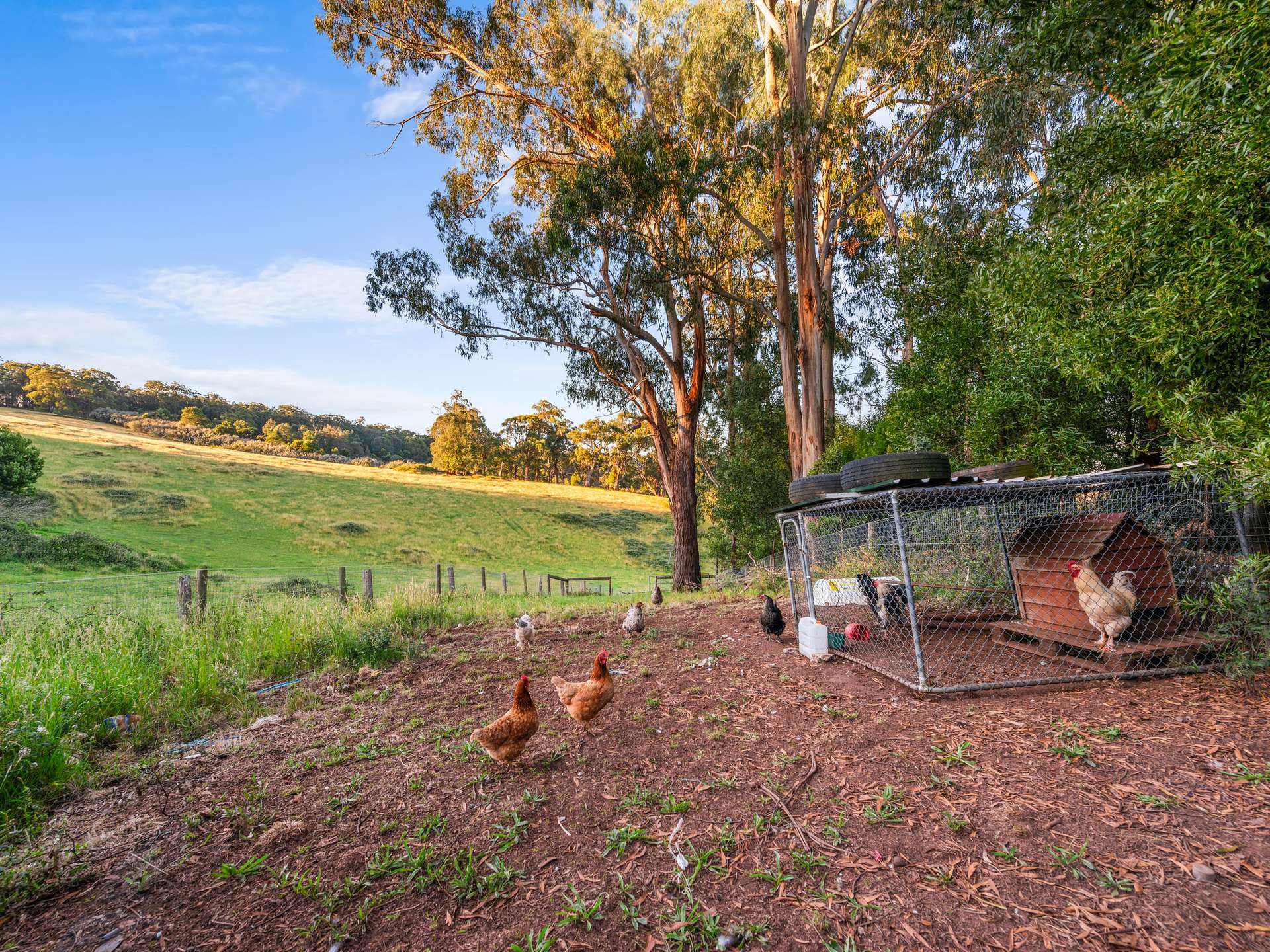 43 Johnsons Lane, Willung South For Sale by Farmbuy.com - image 23