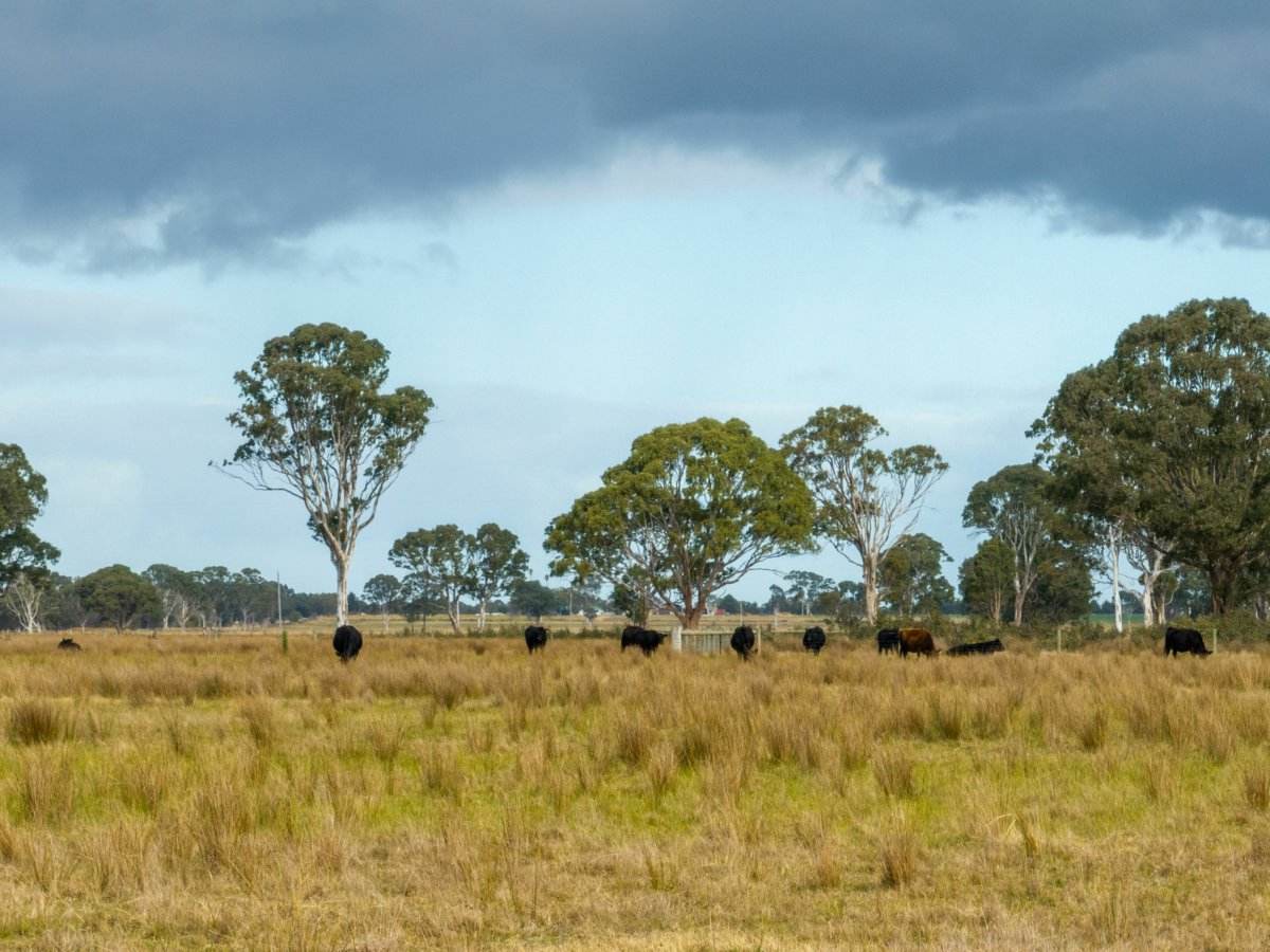 Lot 2/488A Bengworden Road, Bairnsdale For Sale by Farmbuy.com - image 19