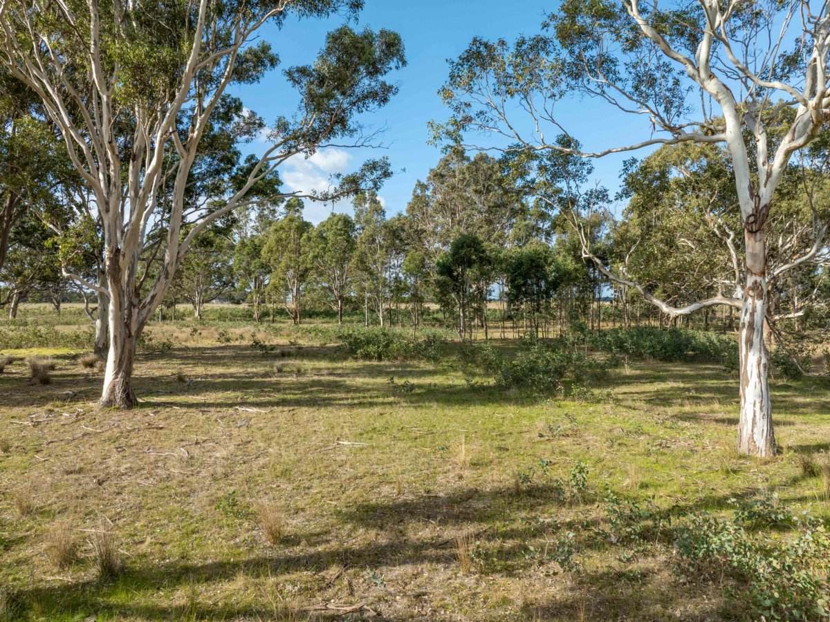 Lot 2/488A Bengworden Road, Bairnsdale For Sale by Farmbuy.com - image 16