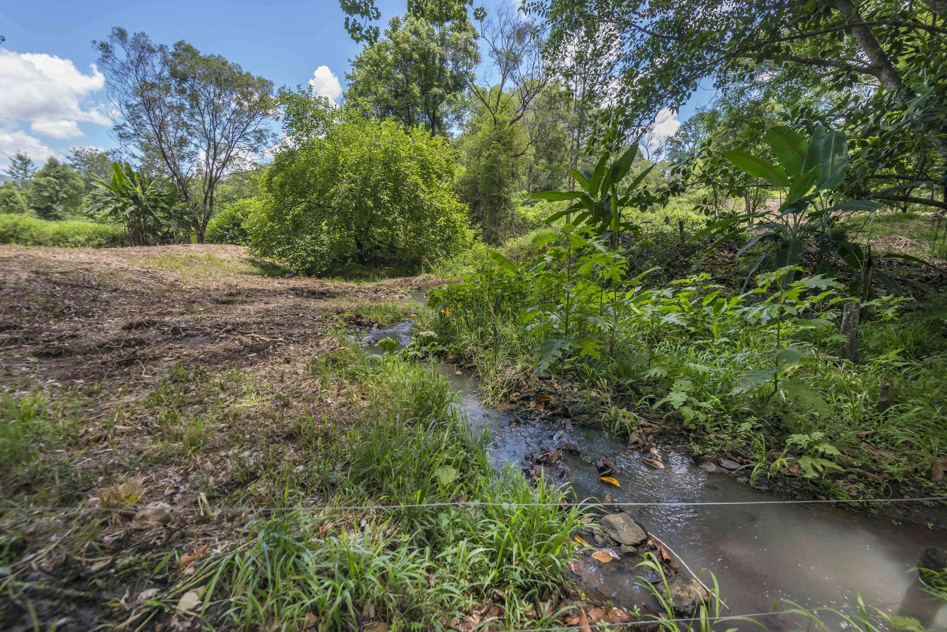 353 Gungas Road, Nimbin Sold by Farmbuy.com - image 15