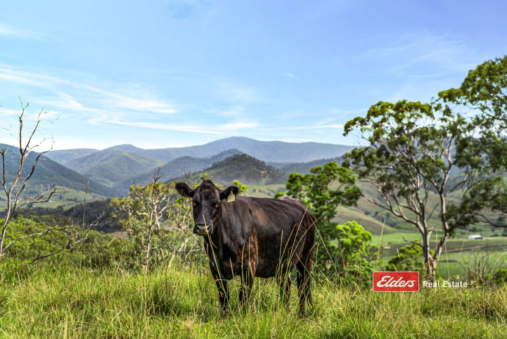 3756a Thunderbolts Way, Bretti Sold by Farmbuy.com - image 8