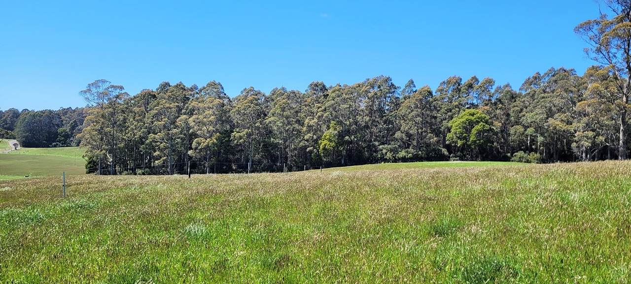 174 Fabers Road, Riana Sold by Farmbuy.com - image 32