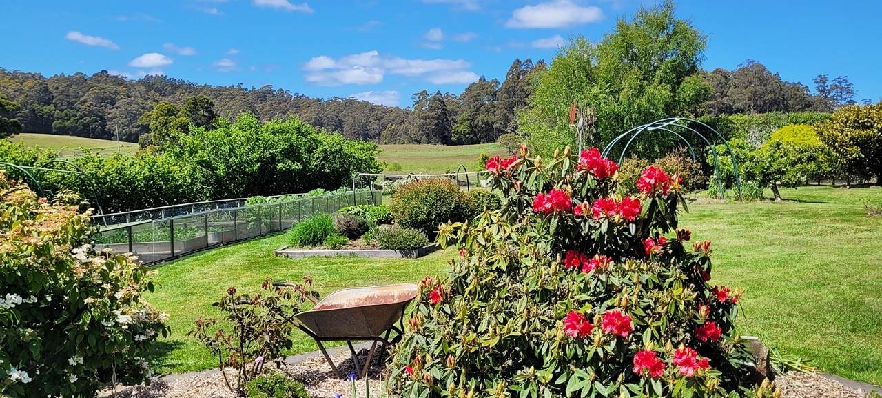 174 Fabers Road, Riana Sold by Farmbuy.com - image 28