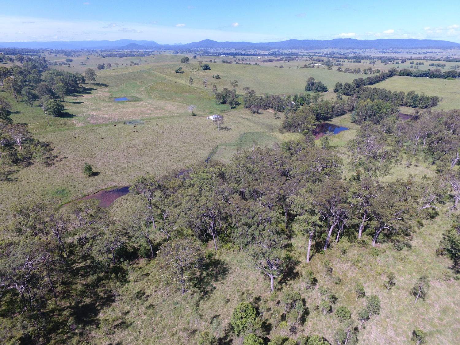 183 Mahoneys Lane, Stratheden For Sale by Farmbuy.com - image 15