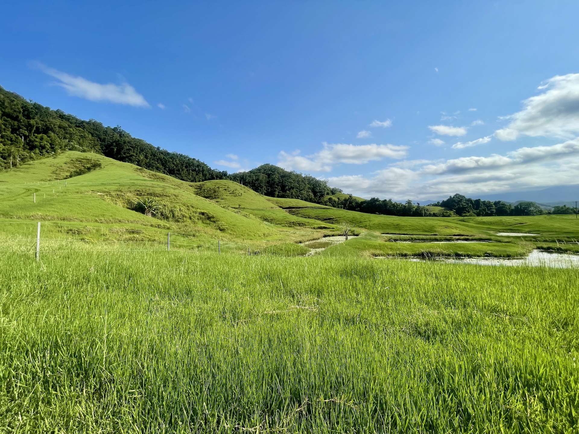 141 Stewart Creek Road, Stewart Creek Valley, Daintree For Sale by Farmbuy.com - image 12