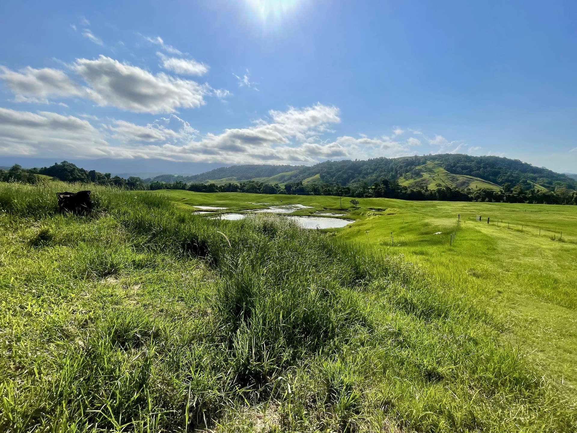 141 Stewart Creek Road, Stewart Creek Valley, Daintree For Sale by Farmbuy.com - image 10