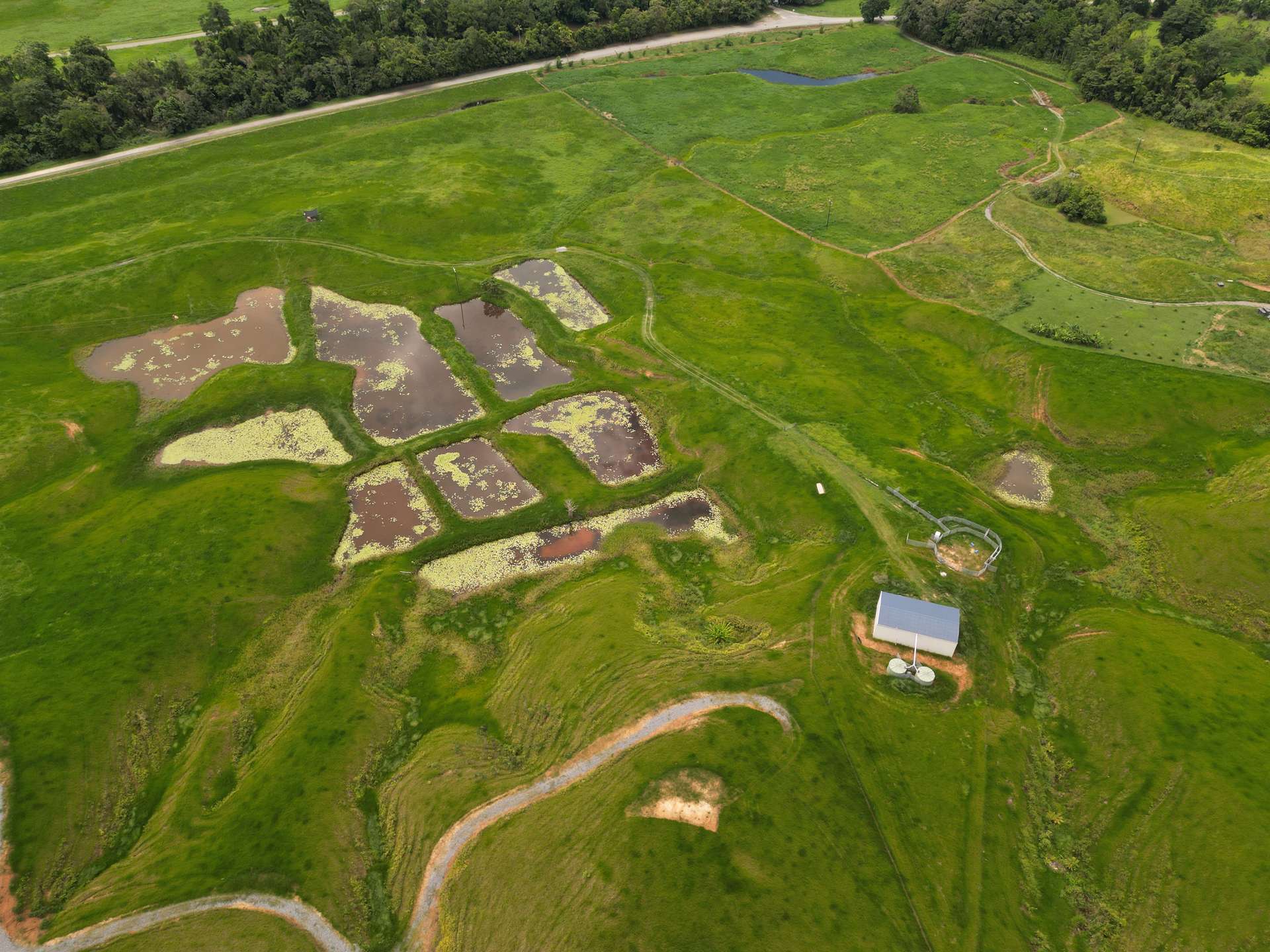 141 Stewart Creek Road, Stewart Creek Valley, Daintree For Sale by Farmbuy.com - image 13