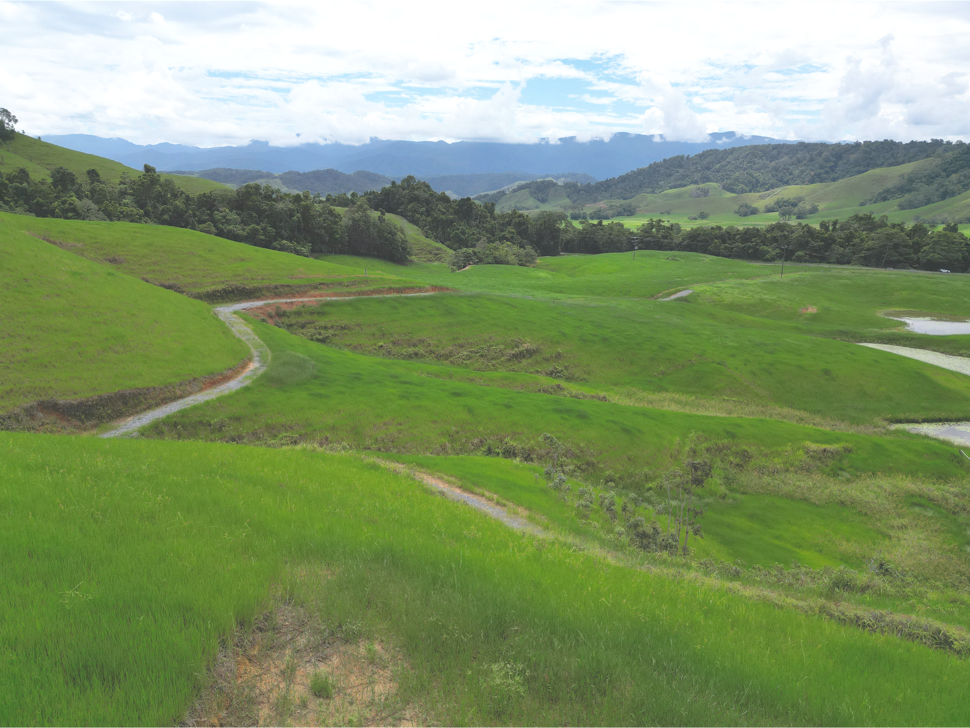 141 Stewart Creek Road, Stewart Creek Valley, Daintree For Sale by Farmbuy.com - image 14
