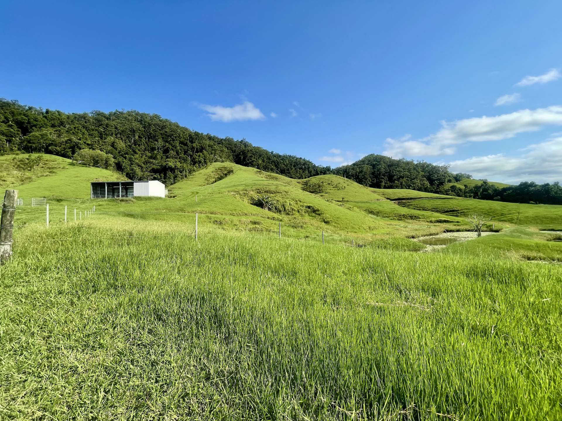 141 Stewart Creek Road, Stewart Creek Valley, Daintree For Sale by Farmbuy.com - image 9