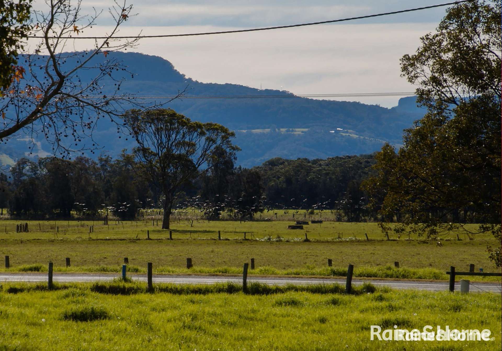 680 Bolong Road, Bolong For Sale by Farmbuy.com - image 31