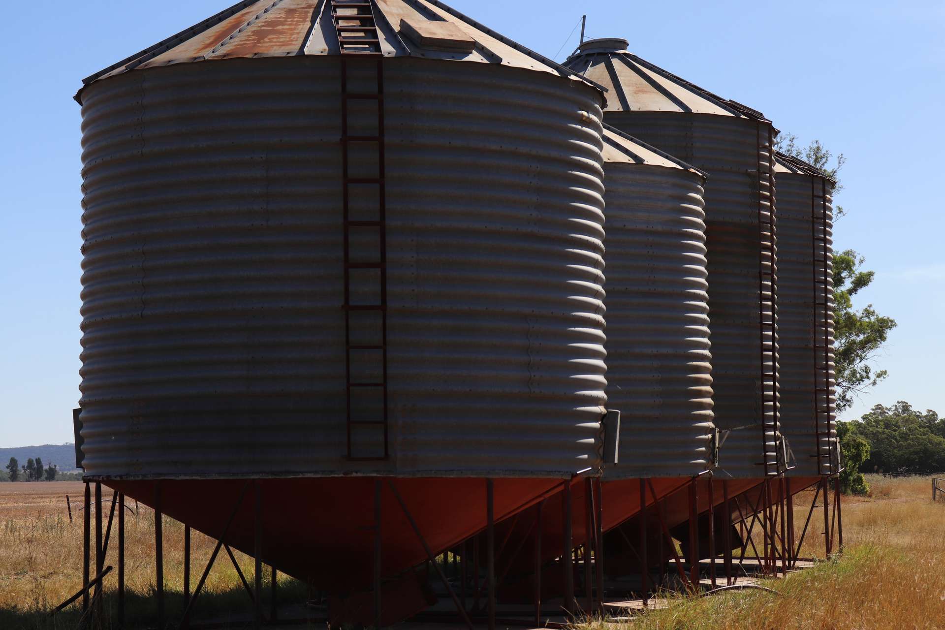 2170 Adelargo Road, Grenfell For Sale by Farmbuy.com - image 13