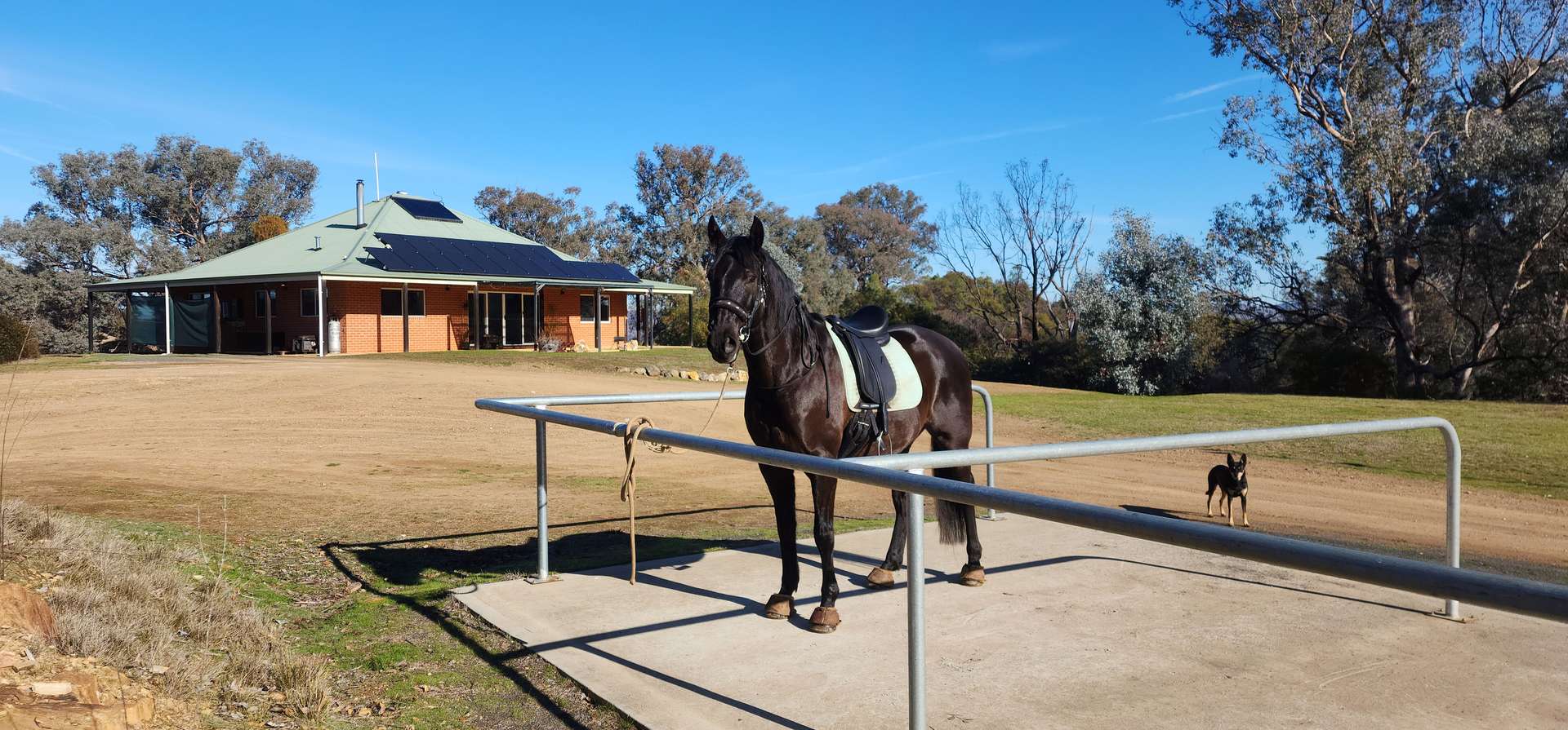 13407 Hume Highway, Woomargama For Sale by Farmbuy.com - image 1