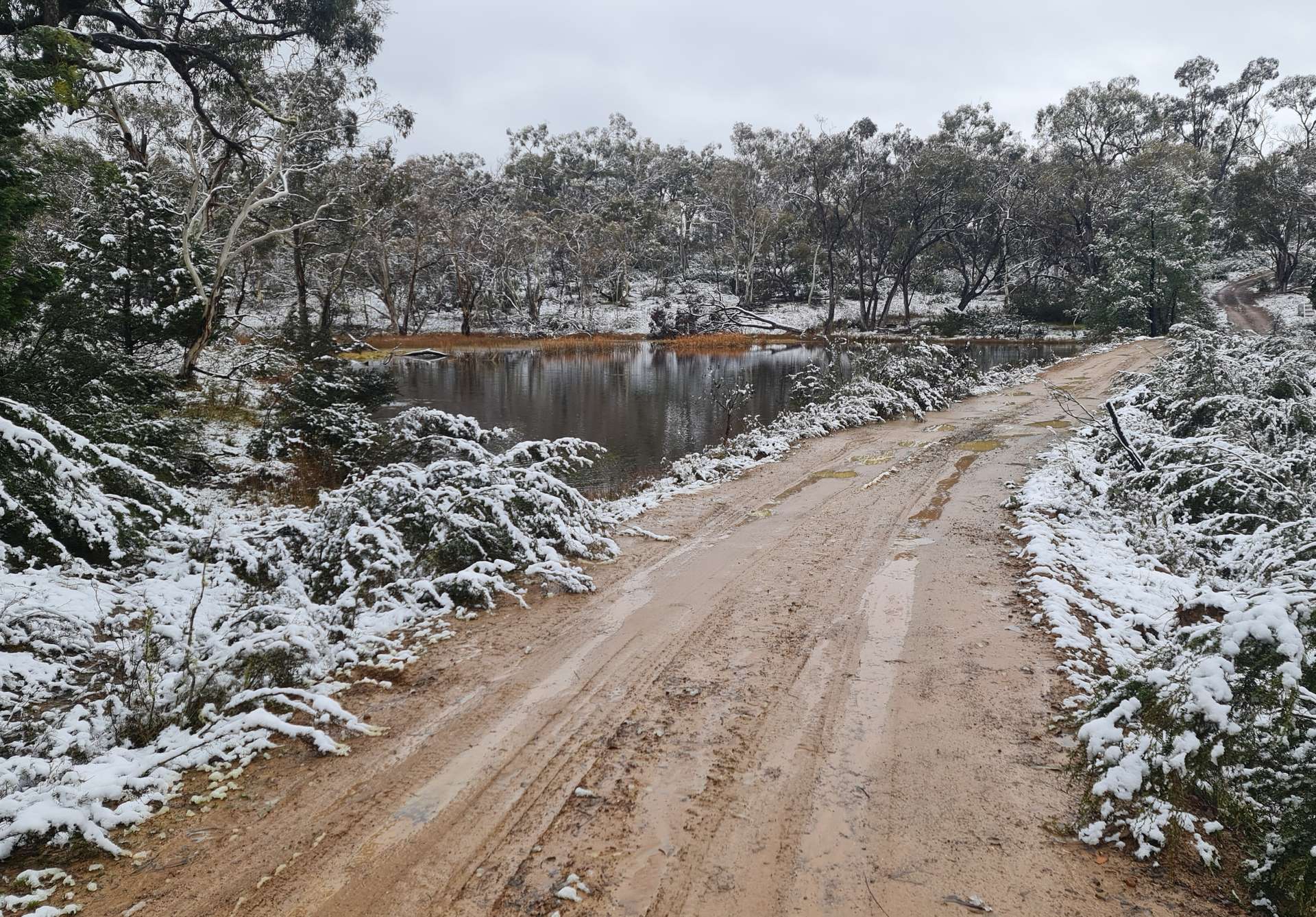 Lot 34 Palarang Road, Merriangaah For Sale by Farmbuy.com - image 24