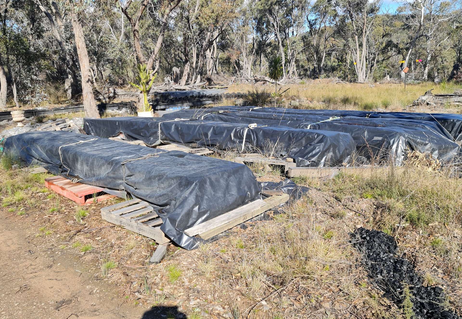 Lot 34 Palarang Road, Merriangaah For Sale by Farmbuy.com - image 20