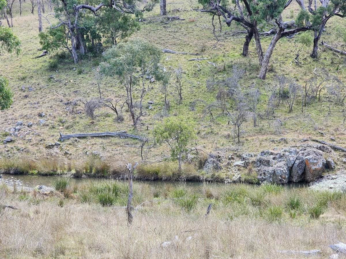Lot 2 Stanthorpe Texas Road, Stanthorpe For Sale by Farmbuy.com - image 10