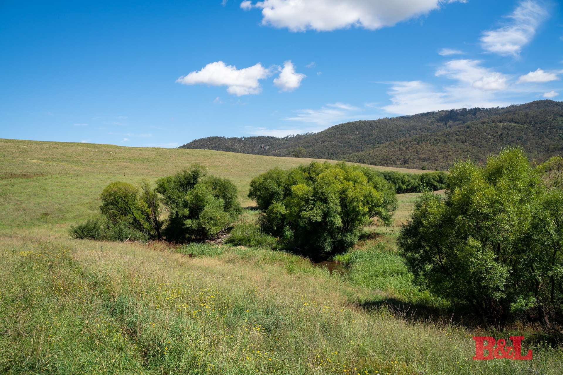 Lot 1/976 Sodwalls Road, Tarana For Sale by Farmbuy.com - image 2
