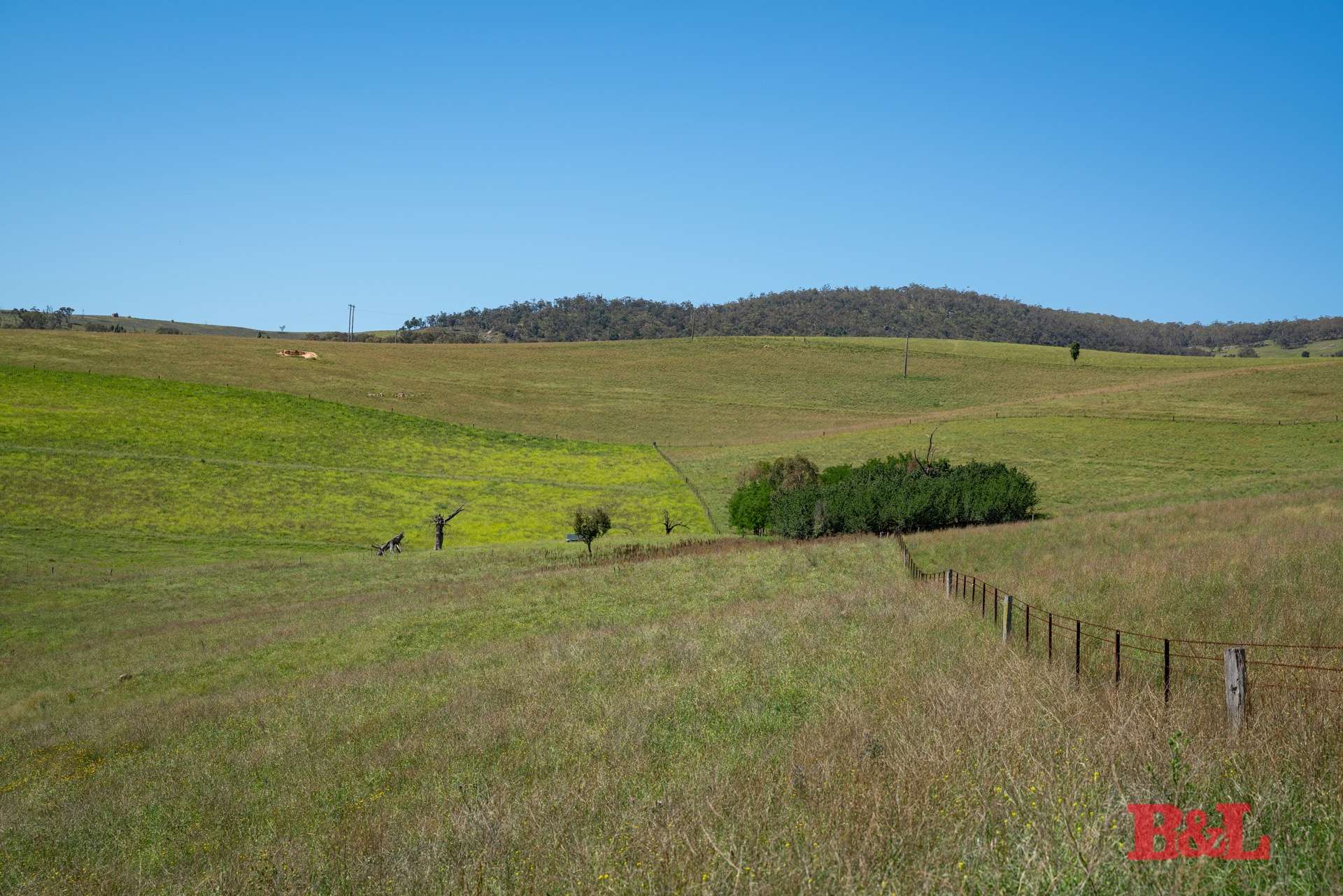 Lot 1/976 Sodwalls Road, Tarana For Sale by Farmbuy.com - image 6