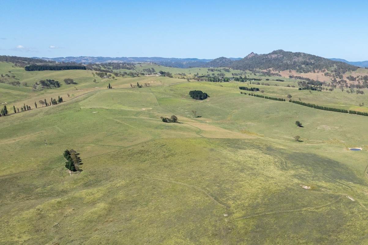 Lot 2 & 252 976 Sodwalls Road, Tarana For Sale by Farmbuy.com - image 11