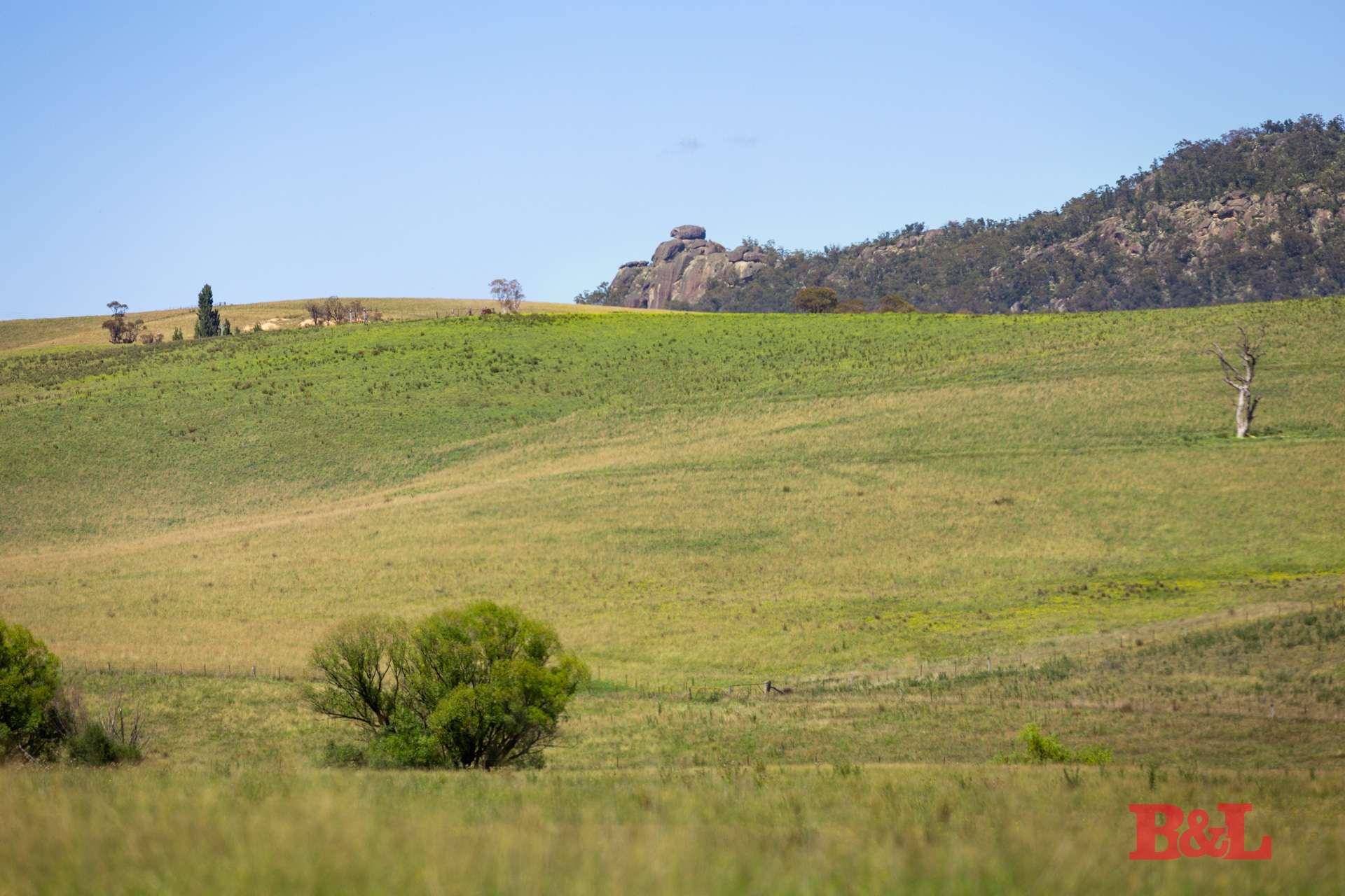 Lot 2 & 252 976 Sodwalls Road, Tarana For Sale by Farmbuy.com - image 31