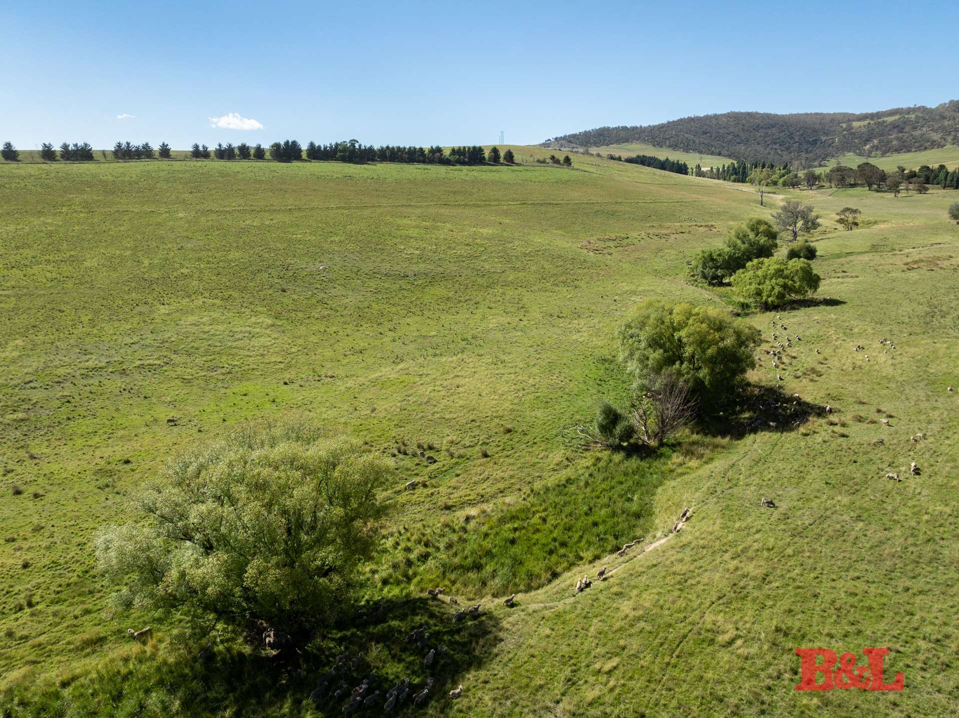 Lot 2 & 252 976 Sodwalls Road, Tarana For Sale by Farmbuy.com - image 14