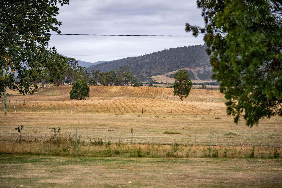 196 Court Farm Road, Buckland For Sale by Farmbuy.com - image 3