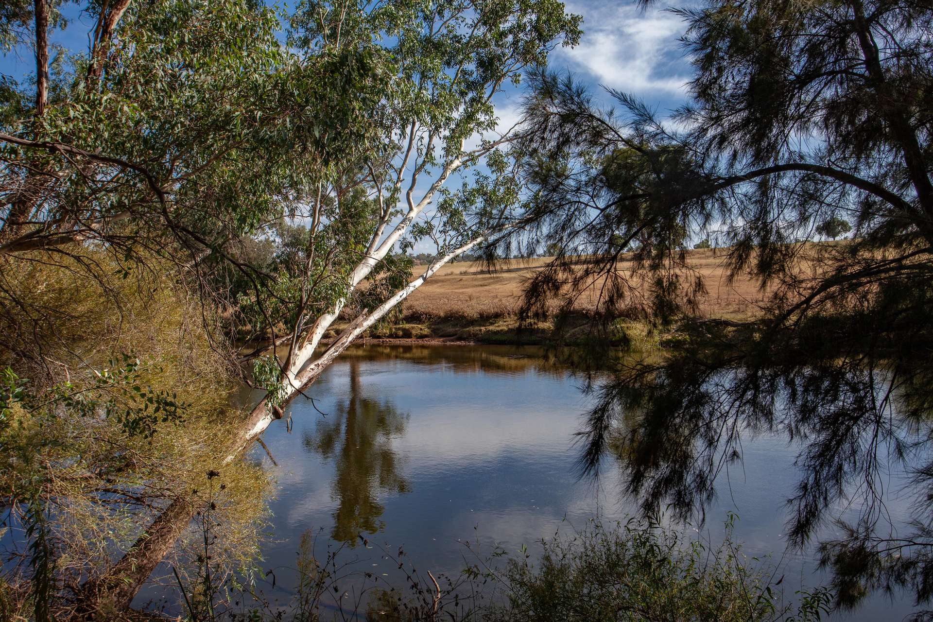 15 Falls Rd, Wellington For Sale by Farmbuy.com - image 23