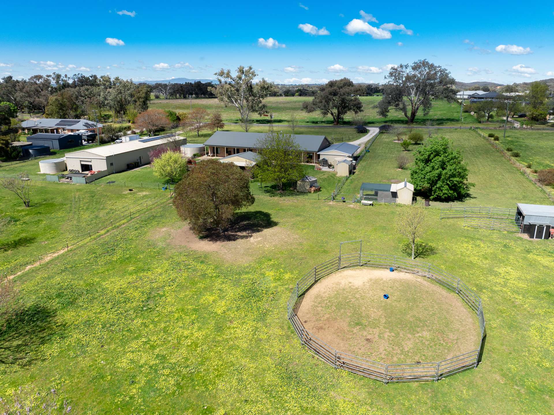 116 Speedy Street, Molong For Sale by Farmbuy.com - image 4