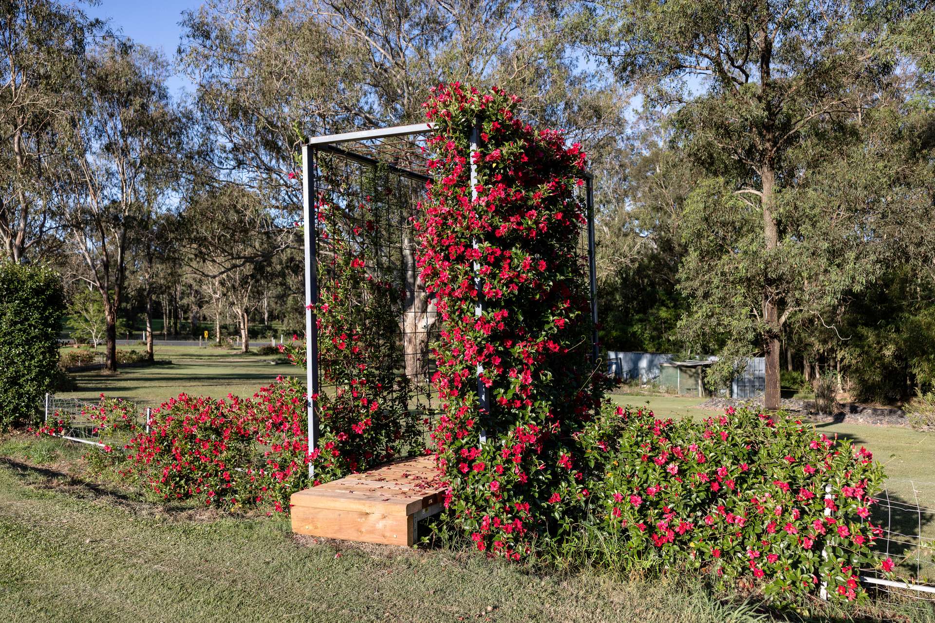 8 Bull Hill Road, Tinonee Auction by Farmbuy.com - image 29