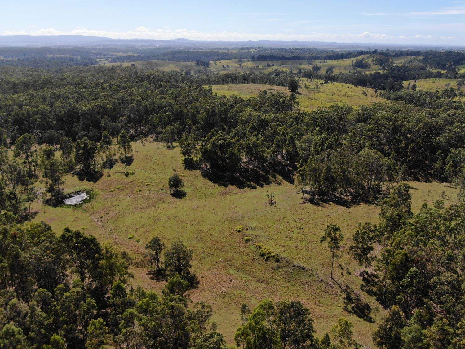 LOT 14 Old Dyraaba Road, Lower Dyraaba For Sale by Farmbuy.com - image 20
